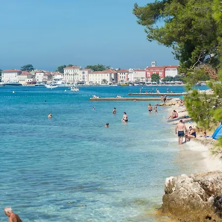 Sanja Near The And Center