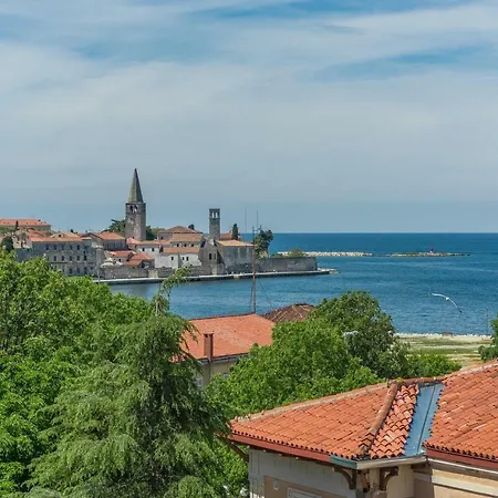 Sanja Near The And Center Daire *